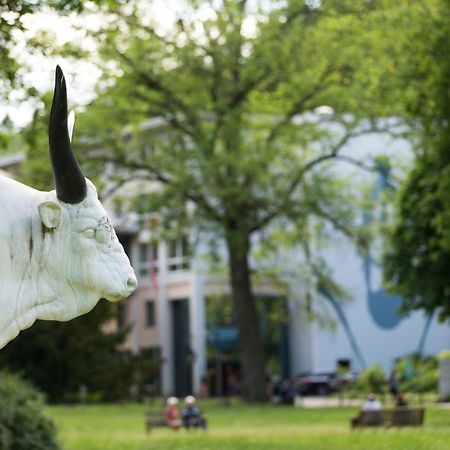 Villa Regina 바트프레이엔왈드 외부 사진
