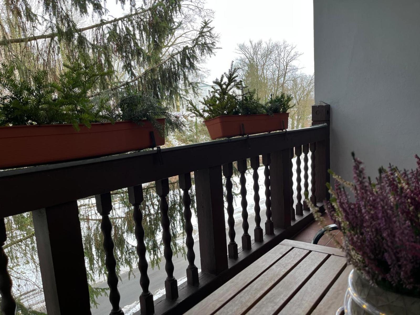Villa Regina 바트프레이엔왈드 외부 사진